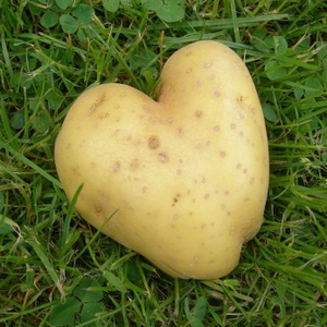 patate